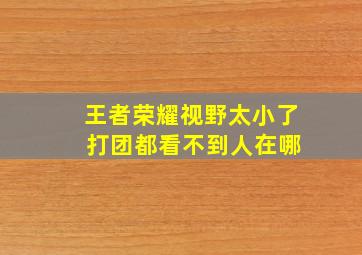 王者荣耀视野太小了 打团都看不到人在哪